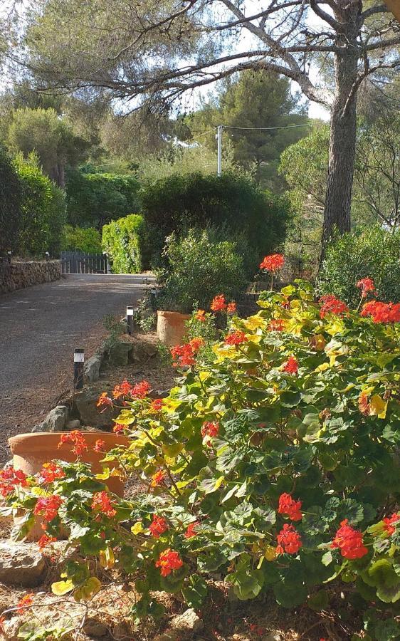 Villa Mediterranea Les Issambres Eksteriør billede